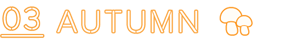Autumn